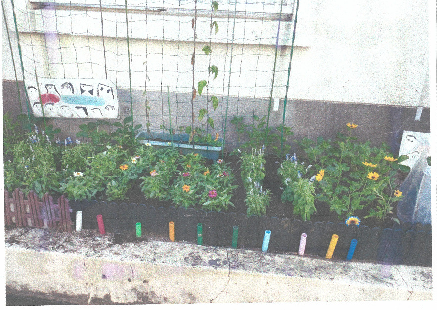 小松キッズガーデン