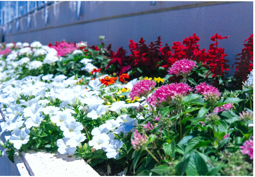 フラワーロード一之台