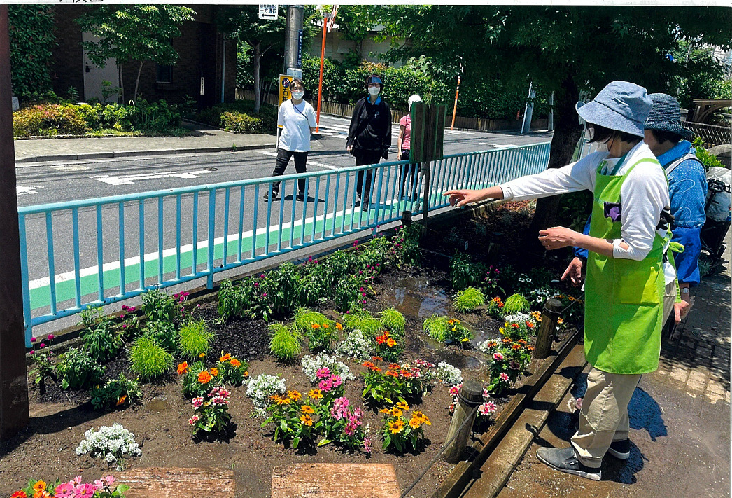 レインボー花壇