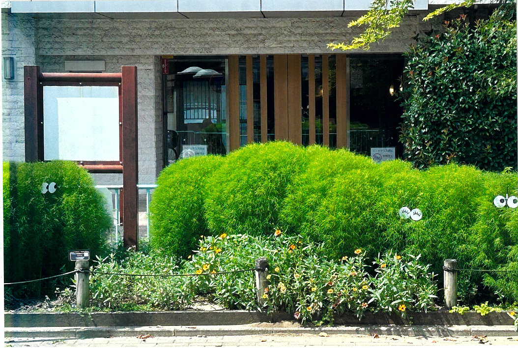 レインボー花壇