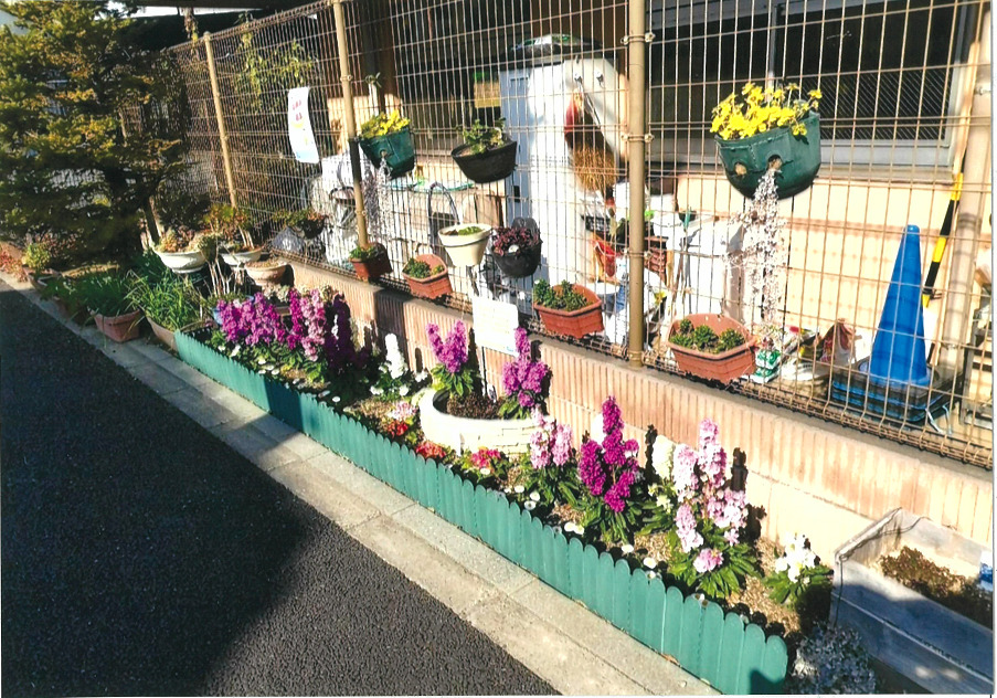 あおぞら水元保育園(あおぞらっこ)花壇