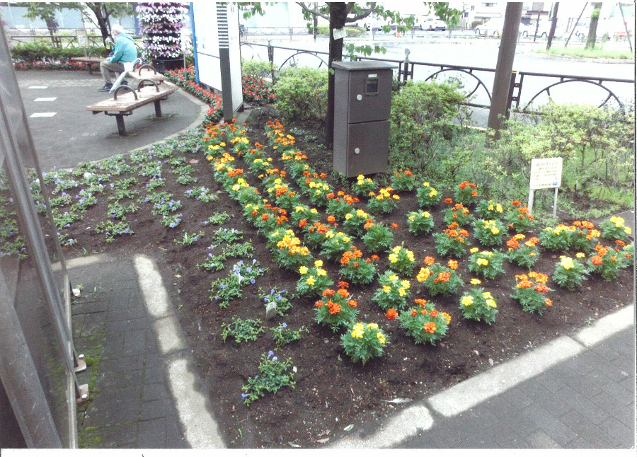 新柴又駅北口広場