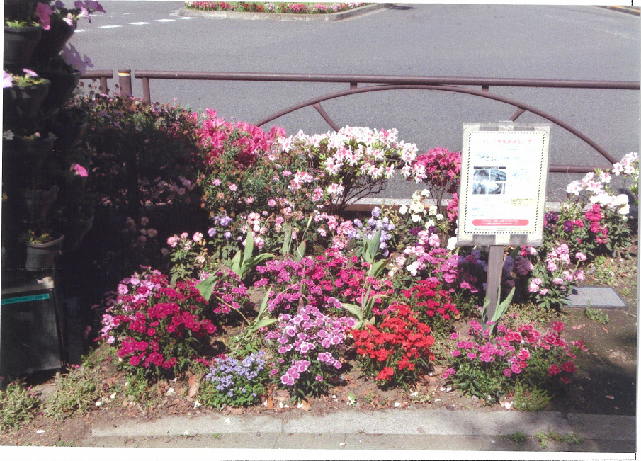 新柴又駅北口広場