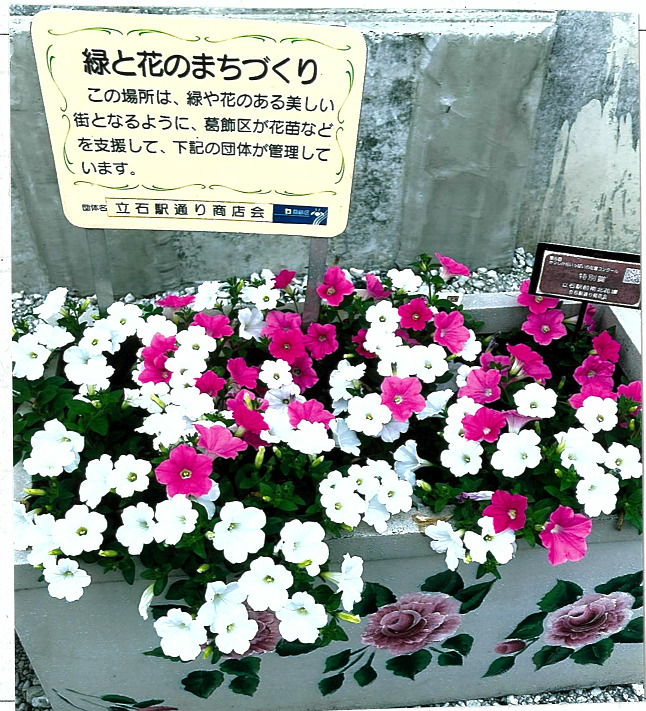 立石駅前花壇