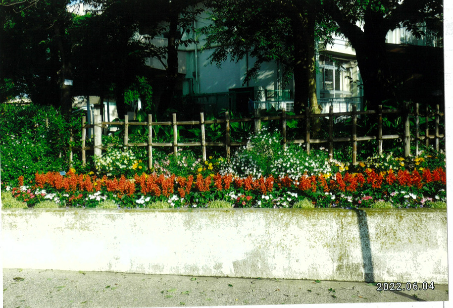 半田小学校学校地域応援団花壇