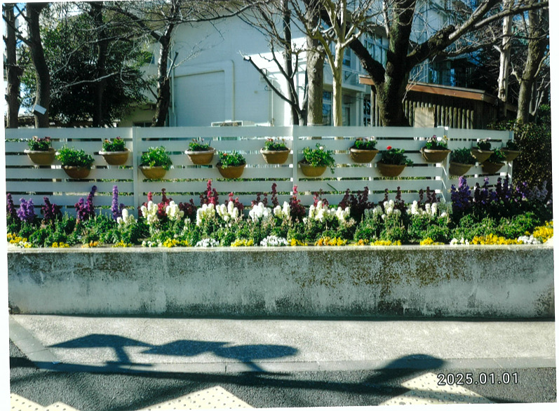 半田小学校学校地域応援団花壇