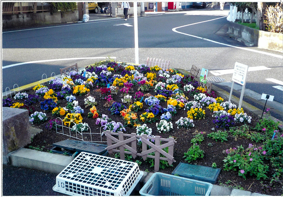 堀切東緑花の会花壇