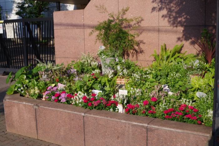 東京都立農産高等学校正門花壇:写真