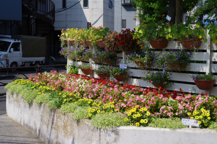 半田小学校学校地域応援団花壇:写真
