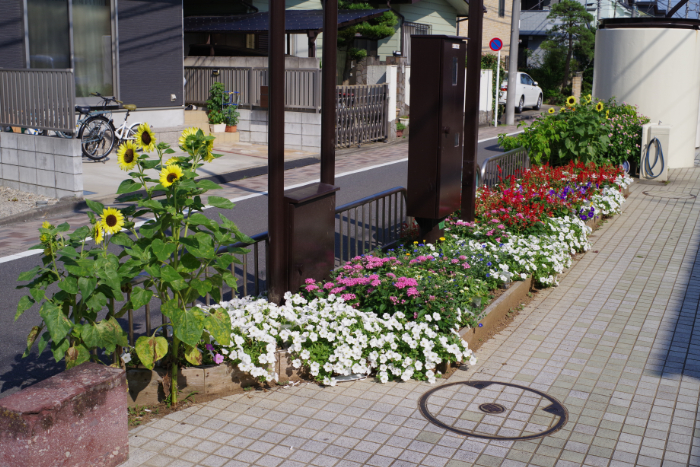 せせらぎ通り沿い花壇:写真