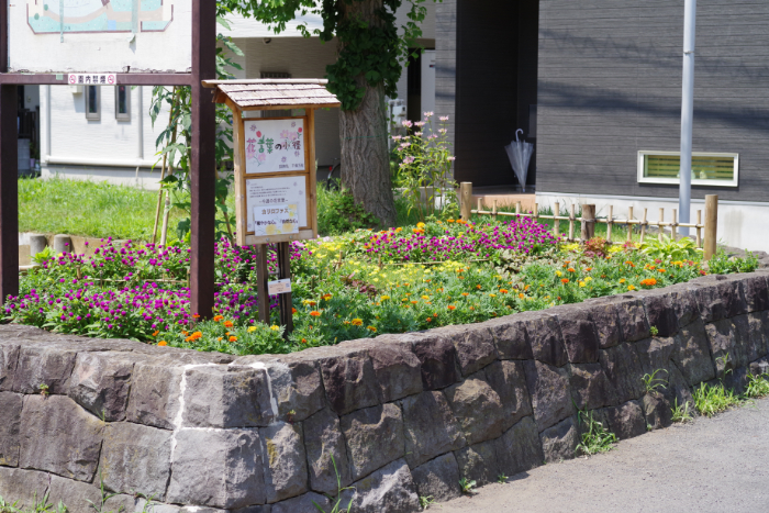 花言葉の小径:写真