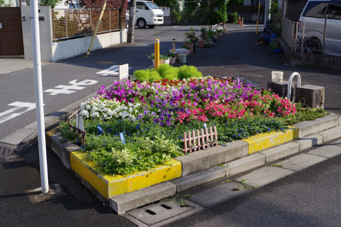堀切東緑花の会花壇:写真