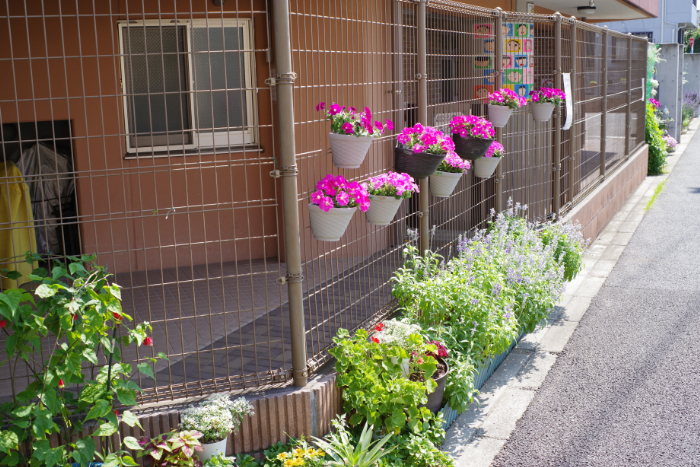 あおぞら水元保育園(あおぞらっこ) 花壇:写真