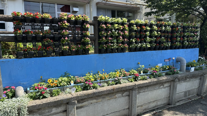 フィオキュリガーデン:写真