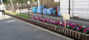 原田小学校の花壇