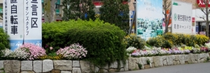 金町駅北口の花壇