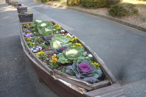 水元公園の花船