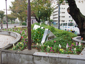 金町公園花壇