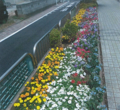細田3丁目花をいっぱいにする会花壇